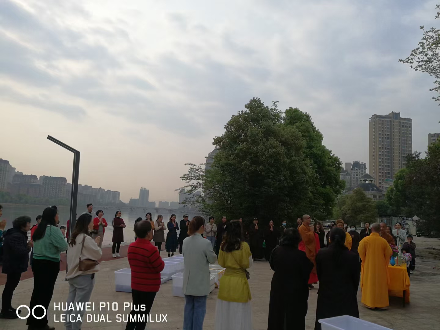 赢乐lV准提菩萨圣诞日法会通启